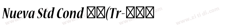 Nueva Std Cond 粗体(Tr字体转换